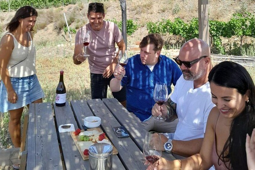A group of people at an outdoor picnic with a table set with food and wine. 2