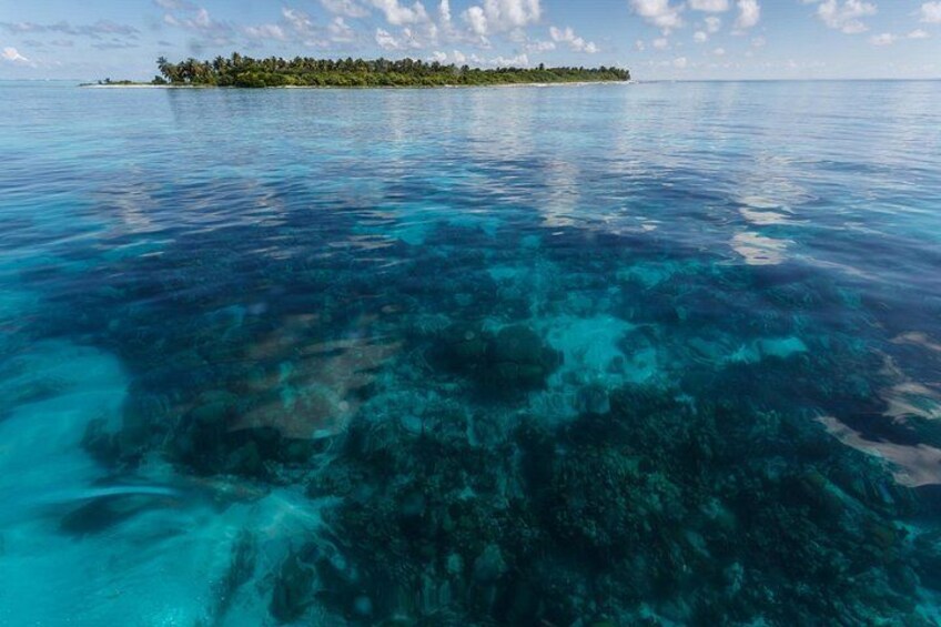 Full-Day Private Tour Hol Chan Bucket List Snorkeling and Marine 4
