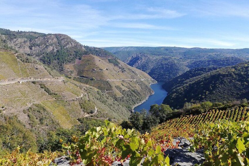 Ribeira Sacra Tour; Canyons, Sil River and Ourense 1