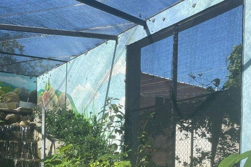 Puerto Plata City Tour with Butterfly Garden 1