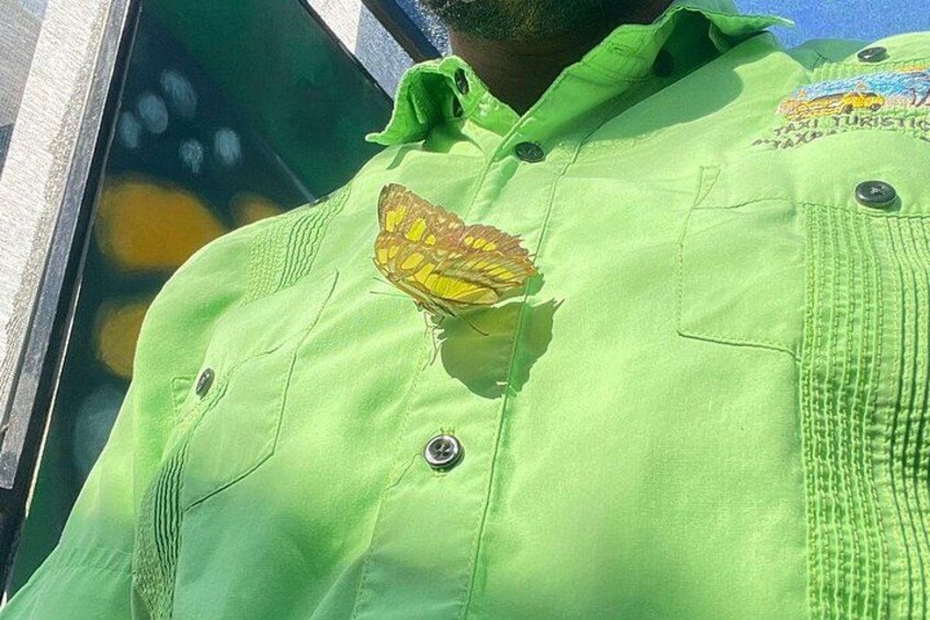 Puerto Plata City Tour with Butterfly Garden 2