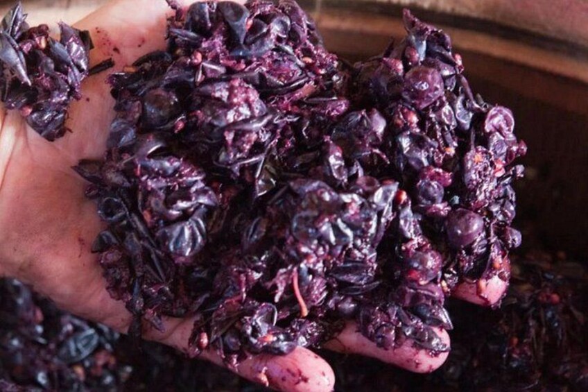 Winemaking in process 3
