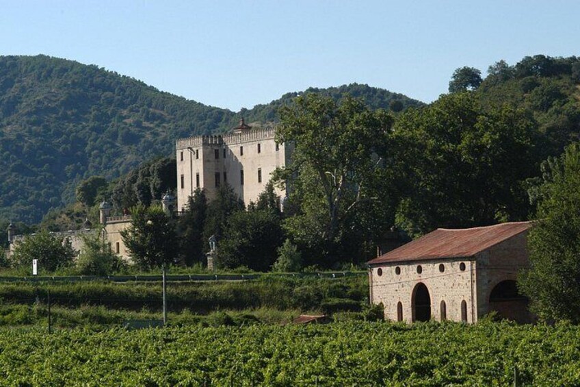 The countryhouse wine estate 3