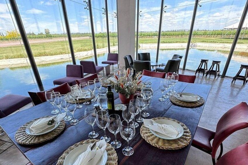 Maipu Tour 3 wineries with lunch + olive all inclusive! 3