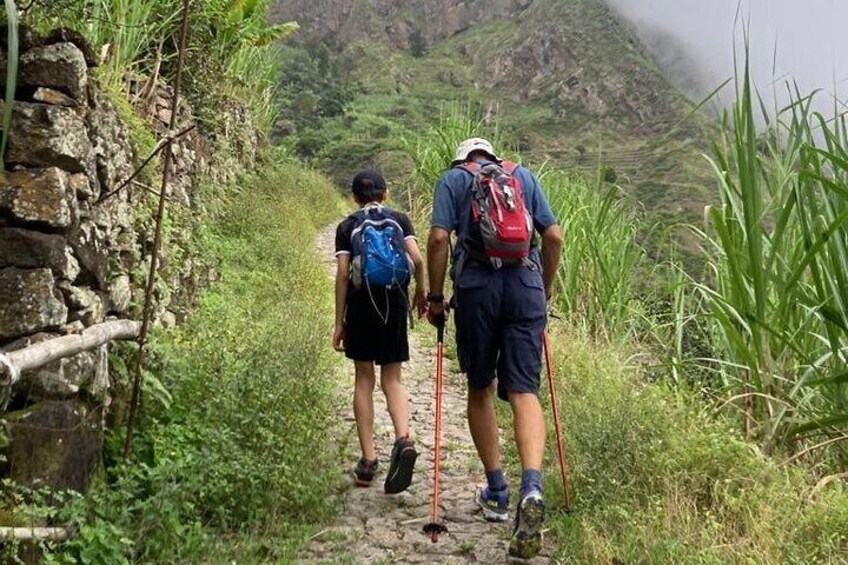 Zwei Wanderer auf einem schmalen Steinpfad, umgeben von viel Grün und einem Berg im Hintergrund. 1