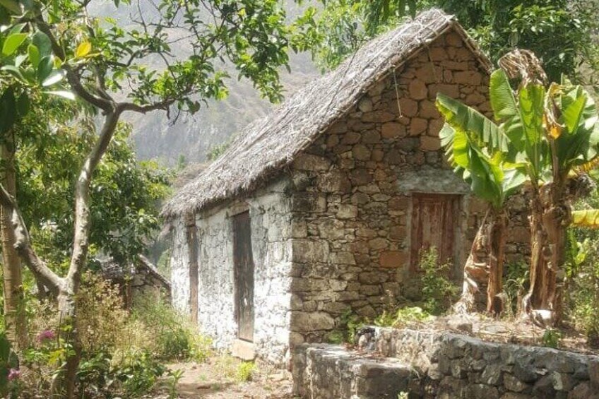 Ein Steinhaus mit einem Strohdach, umgeben von üppiger Vegetation und Bananenstauden. 2