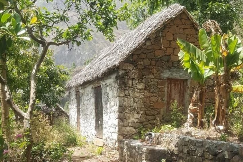 A stone house with a thatched roof surrounded by greenery and trees. 2