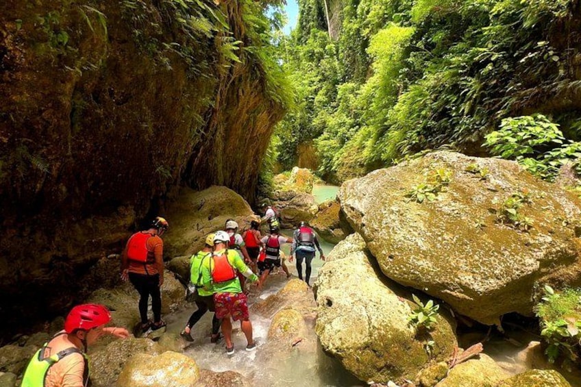 Cebu: Kawasan Canyoneering & Moalboal Island Hopping 4