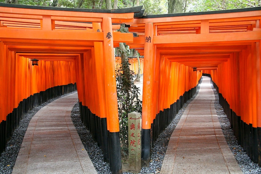 Perfect Kyoto 1Day Bus Tour 2