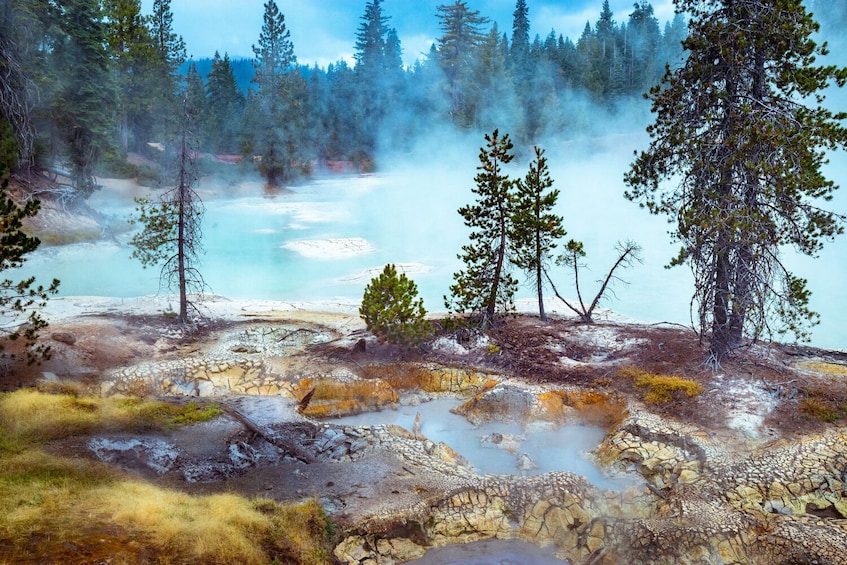 Ein geothermisches Gebiet mit Dampfauströmern, Bäumen und einem See. 5