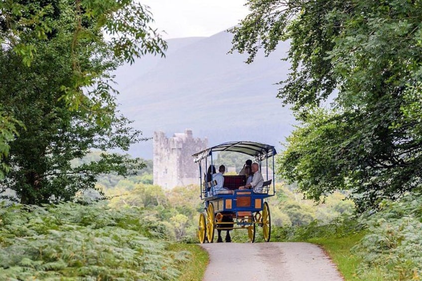 Whiskey & Wonders in Killarney 5