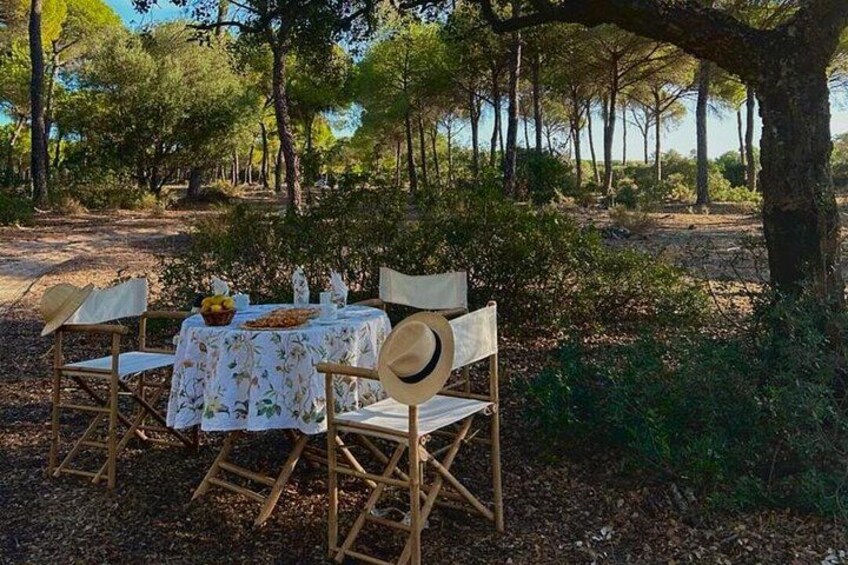 Exploring Doñana and the Iberian Lynx 2