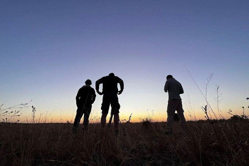 Exploring Doñana and the Iberian Lynx 5