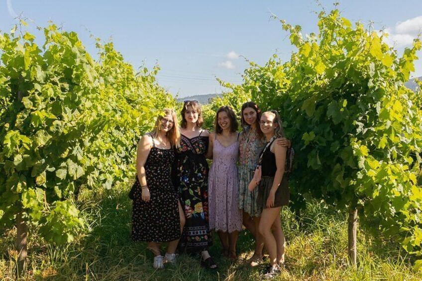 A group of people standing in a vineyard with rows of grapevines. 4