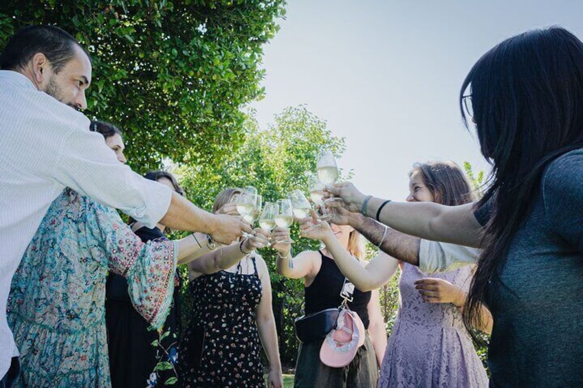 Un grupo de personas brindando con copas de vino al aire libre. 4