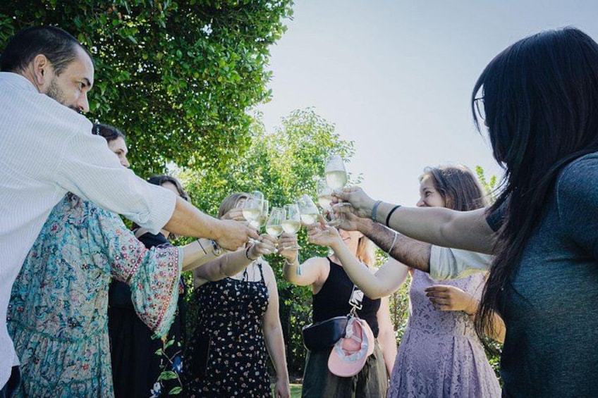 A group of people toasting with wine glasses outdoors. 3
