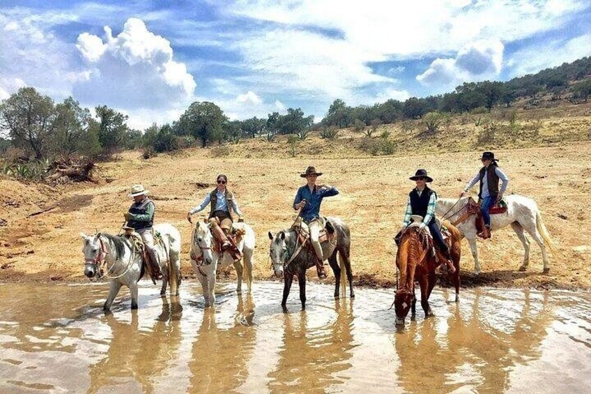 Horseback Riding through Mexican Haciendas 2