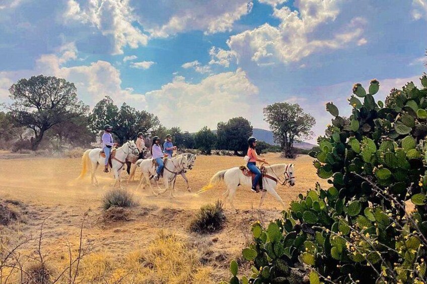 Een groep mensen rijdt op paarden door een droog, open landschap met weinig beplanting en verspreide bomen. 3
