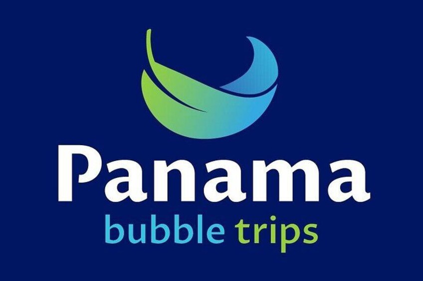 A logo with the text 'Panama bubble trips' and a stylized leaf design. 2
