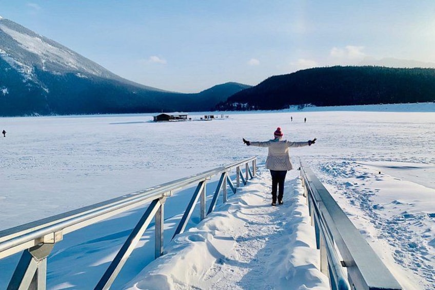 Best of Banff: Signature Express Tour (2.5 hours) 4