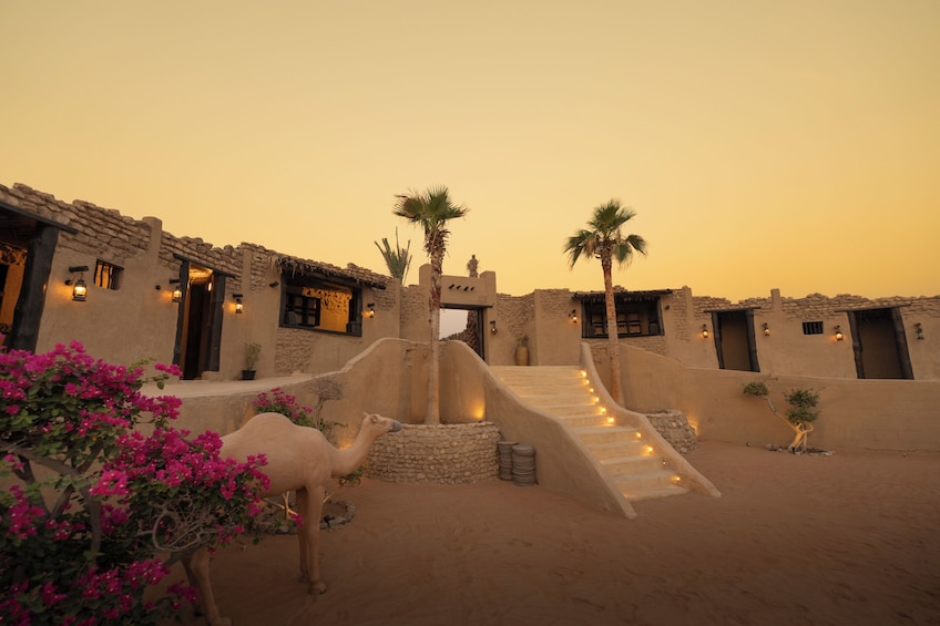 Tour Dubai: Luxury Desert Camp Safari, Dune Bashing, Quad Bike & Dinner 2