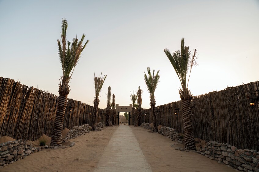 Tour Dubai: Luxury Desert Camp Safari, Dune Bashing, Quad Bike & Dinner 5