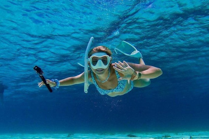 Cozumel's Best: Snorkel Adventure in El Cielo and El Cielito 3