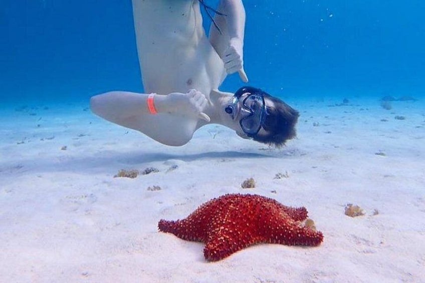 Cozumel's Best: Snorkel Adventure in El Cielo and El Cielito 4