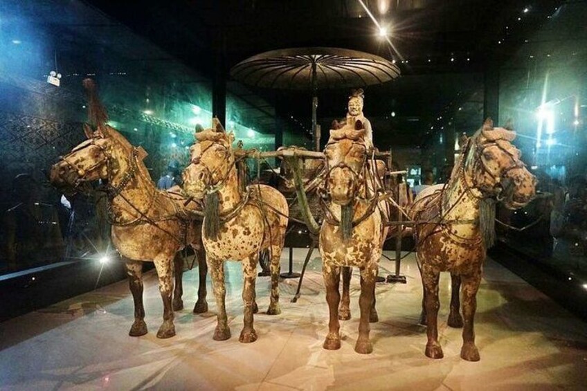 Private Tour to Terracotta Army & Bronze Chariots(Lishan Garden) 4