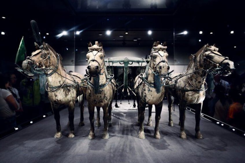 Private Tour to Terracotta Army & Bronze Chariots(Lishan Garden) 5