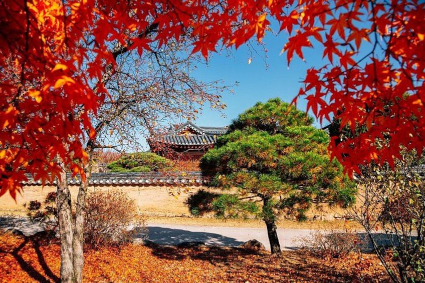 From Busan to Andong: A Cultural Private Tour Through Time 3