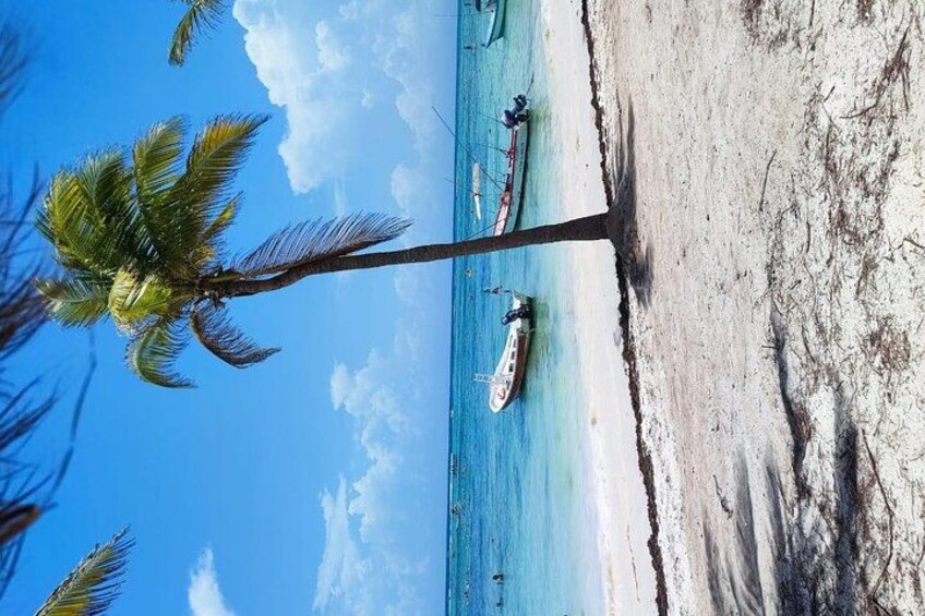 A beach with a palm tree, a boat, and clear blue water. 5