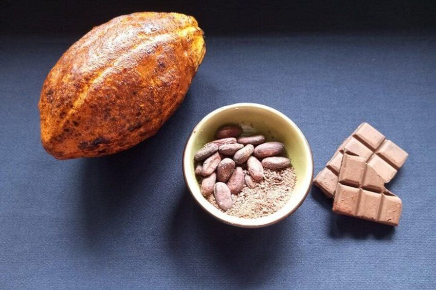 A roasted cocoa bean, cocoa nibs, and chocolate pieces on a dark surface. 2