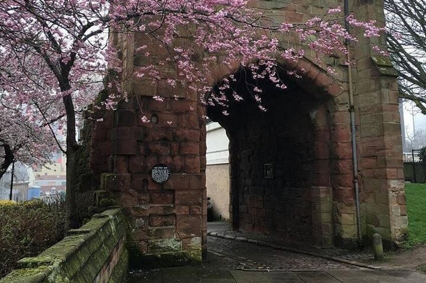 A stone archway with cherry blossoms. 5