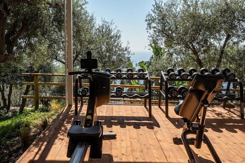 Un gimnasio al aire libre con equipo de ejercicio, incluyendo cintas de correr y máquinas de pesas, con un fondo de árboles y una terraza de madera. 4