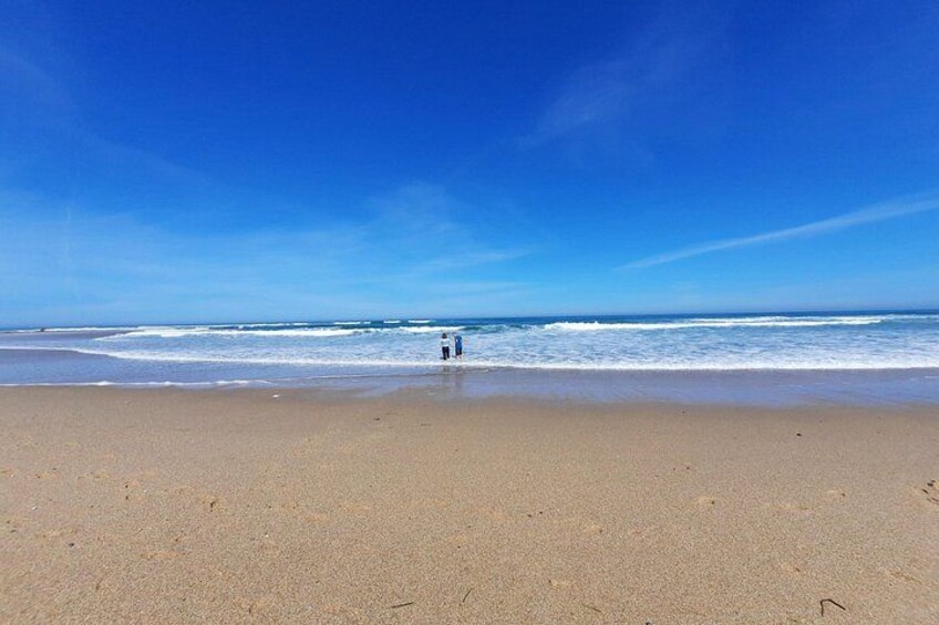 A beach with sand, waves, and a clear blue sky. 2