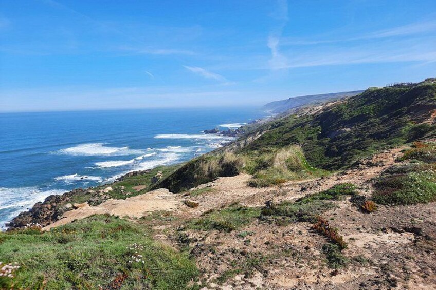 A coastal landscape with a rocky path, ocean waves, and a clear blue sky. 5