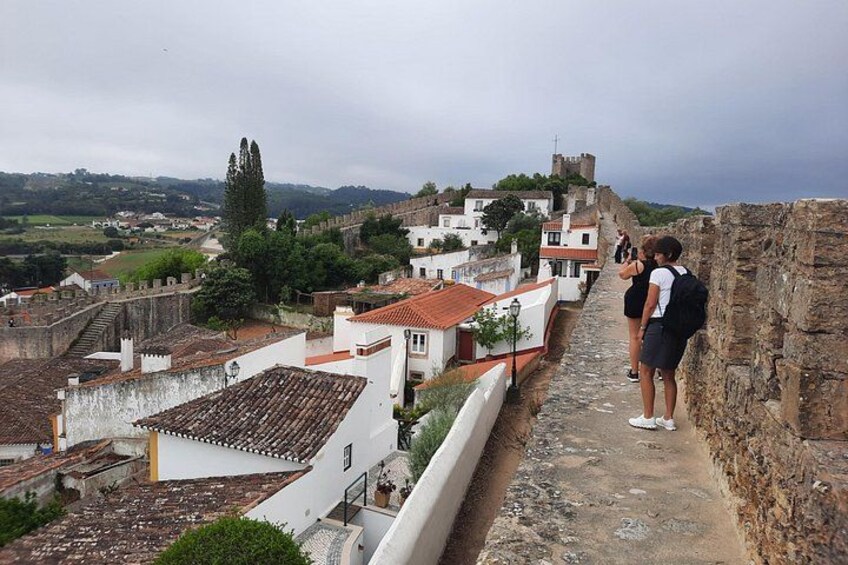 A historic town with a prominent castle, terraced houses, and a stone wall. 3