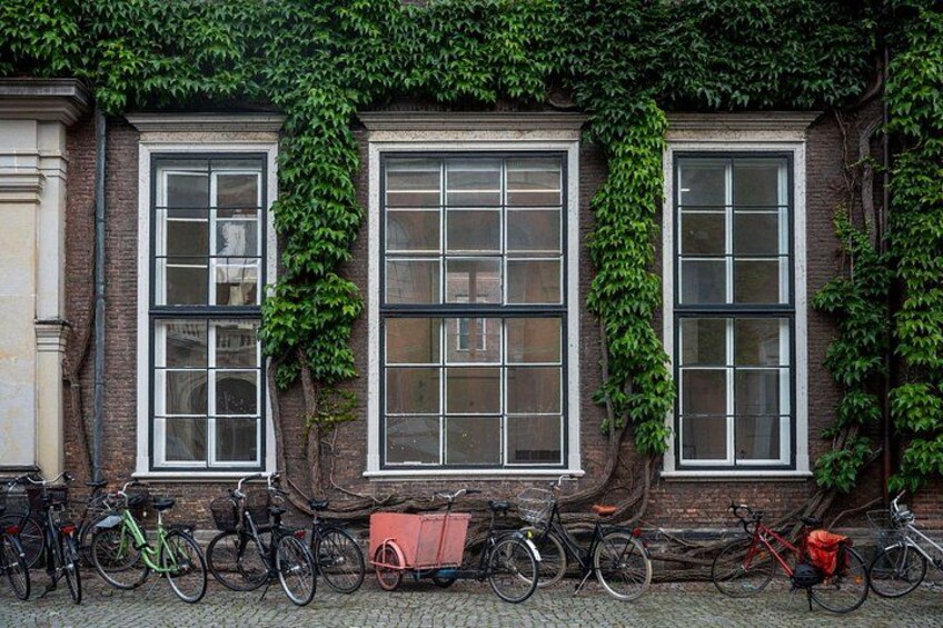 A building with three windows covered in ivy, and several bicycles parked in front. 2
