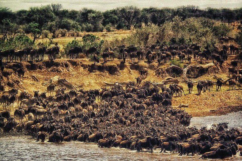 3 Days Safari Tour in Maasai Mara 3