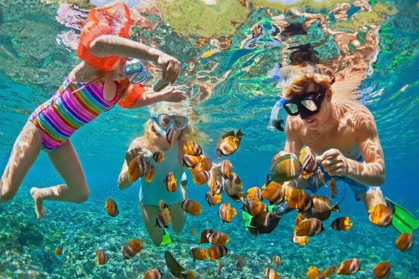 Personas haciendo snorkel bajo el agua con peces. 5
