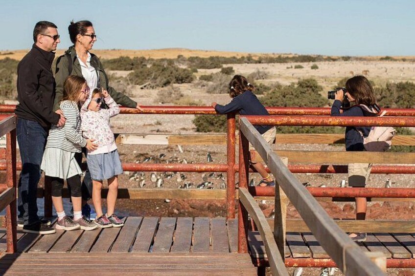 Full-day excursion to Punta Tombo Natural Penguin Park 3