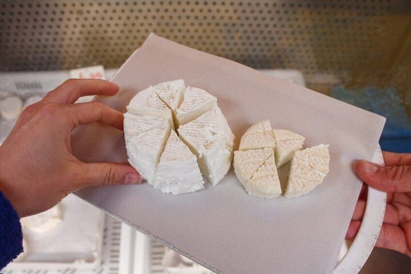 The Provençal Food Tour in Aix-en-Provence 3