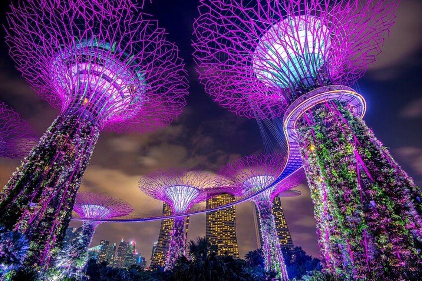 Des structures illuminées, ornées d’un réseau complexe de lumières et de verdure, se dressent sur fond de ciel nocturne. 2