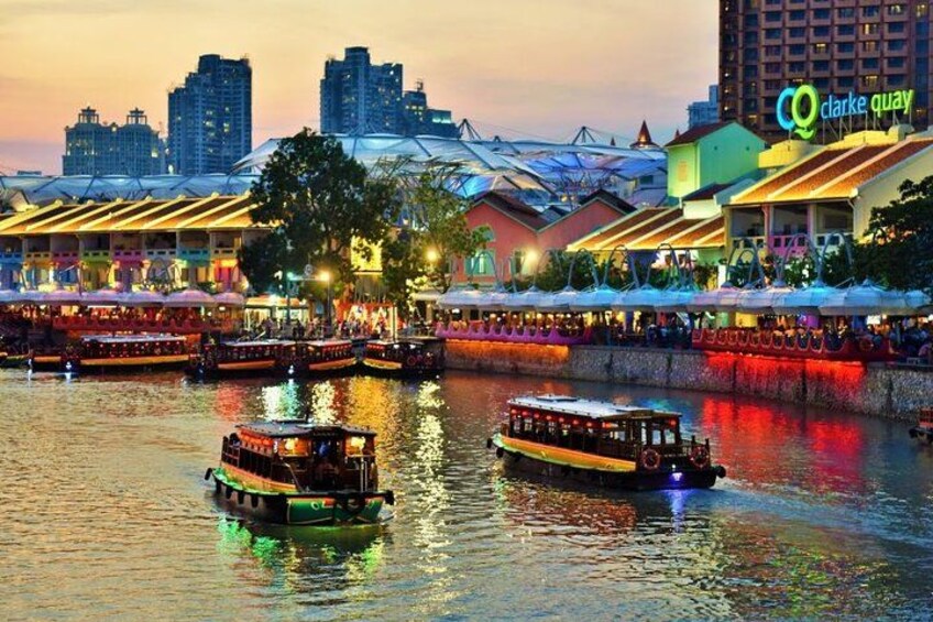 Singapore : Private Customize Night Tour with driver 2
