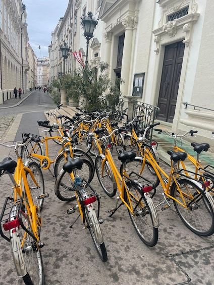 Picture 1 for Activity Vienna: City Highlights Guided Bike Tour 3