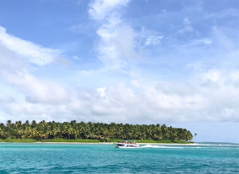 A boat speeding across turquoise waters with a tropical island in the background. 5