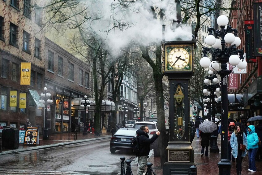 Vancouver: Capilano Bridge, Stanley Park & Granville Island 1