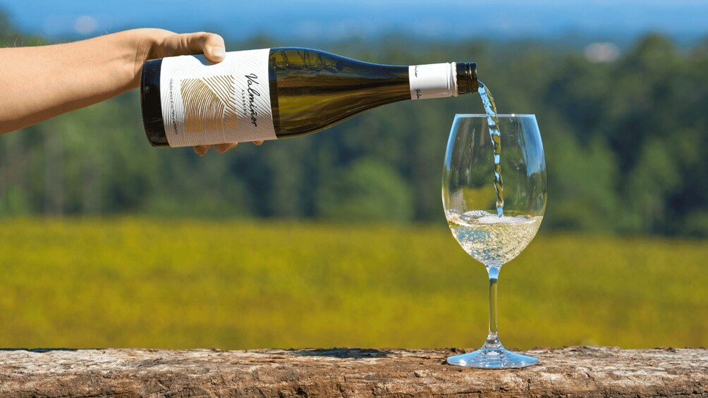 A hand pouring wine into a glass. 5