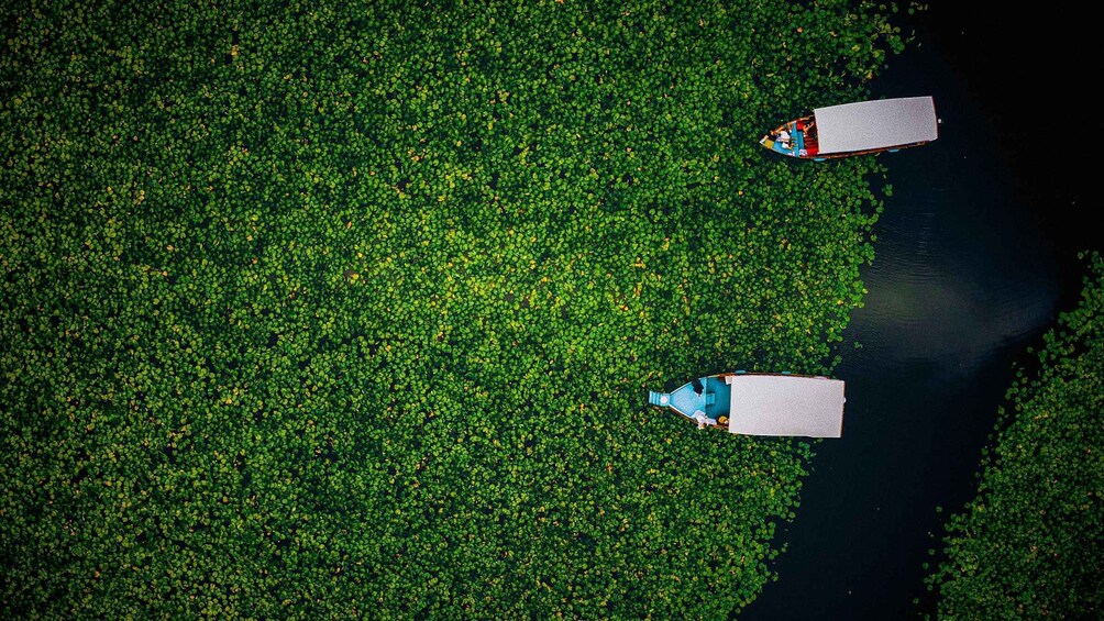 Two boats on a river surrounded by dense green foliage. 3